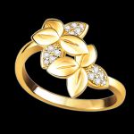 cpl-ring3